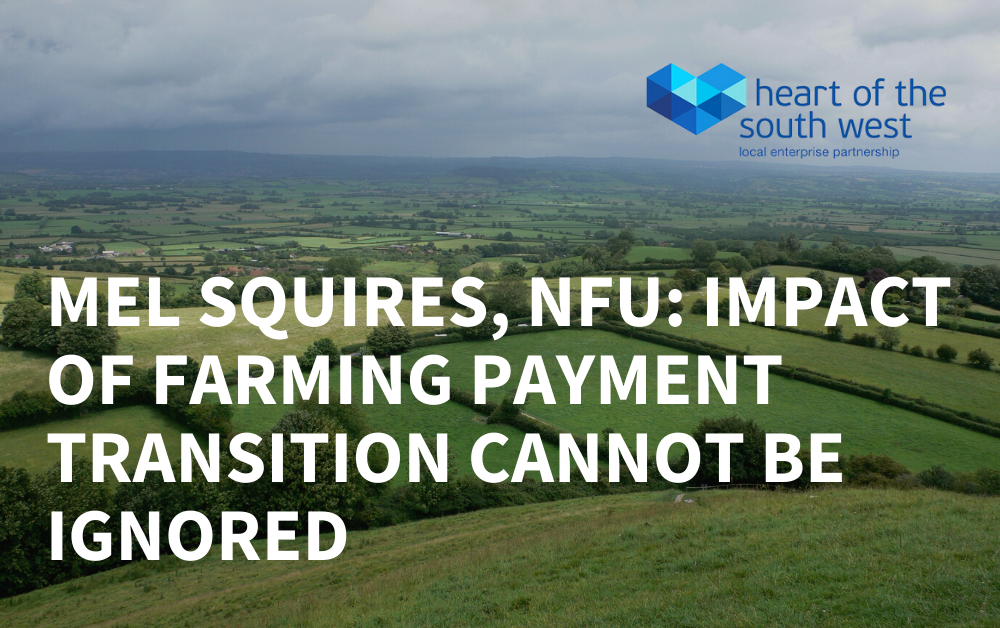 Mel Squires NFU farming payment scheme transition